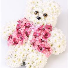 Pink Teddy Bear 
