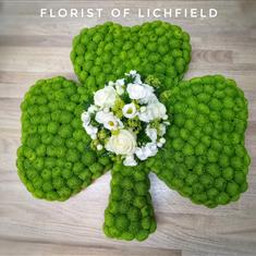 Shamrock Tribute
