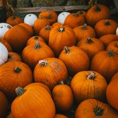 Pumpkin Table Arrangement Workshop October 2025 TBC