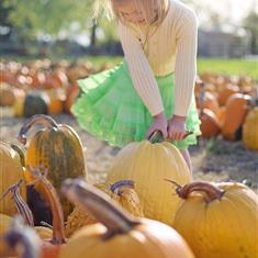 Pumpkin Flower Arranging Family Workshop Wed 29th Oct