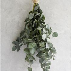 Signature Eucalyptus Bunch