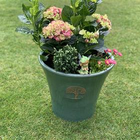 fwthumb97E47DFC-BF48-484E-8BCC-D7F2F7CF0DE5.jpg